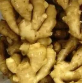 睡前用“生姜”涂在腳底，堅持7天，3個好處收入囊中！