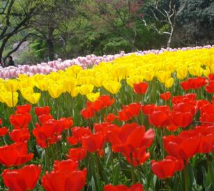 人見人愛花見花開的江浙育兒嫂育嬰師